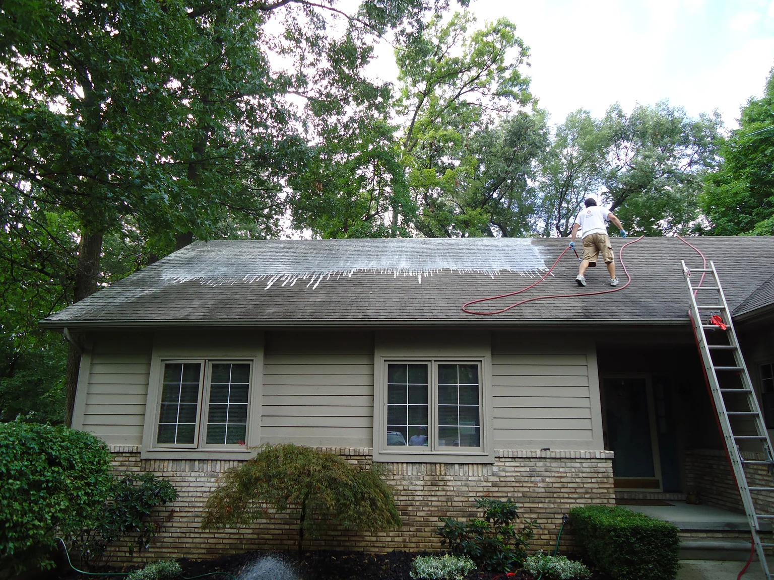 Worker cleaning a pitched asphalt-shingle roof with a hose and cleaning solution